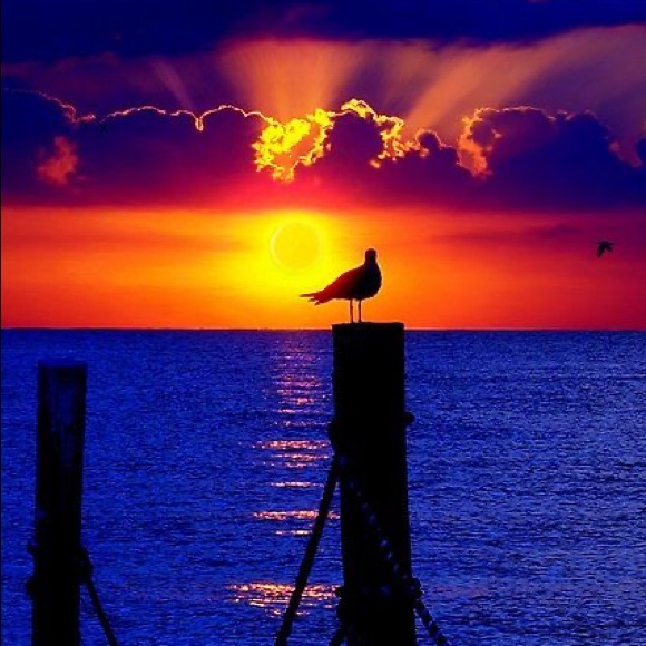 Hello!😃 and Welcome 🥃🥃🥳 - Picture 9 of 16